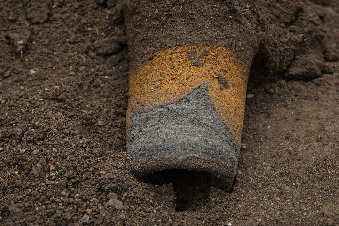 Extrémité d’une carotte de sol fraîchement extraite, montrant une couche ocre sableuse au-dessus d’une couche grise plus argileuse