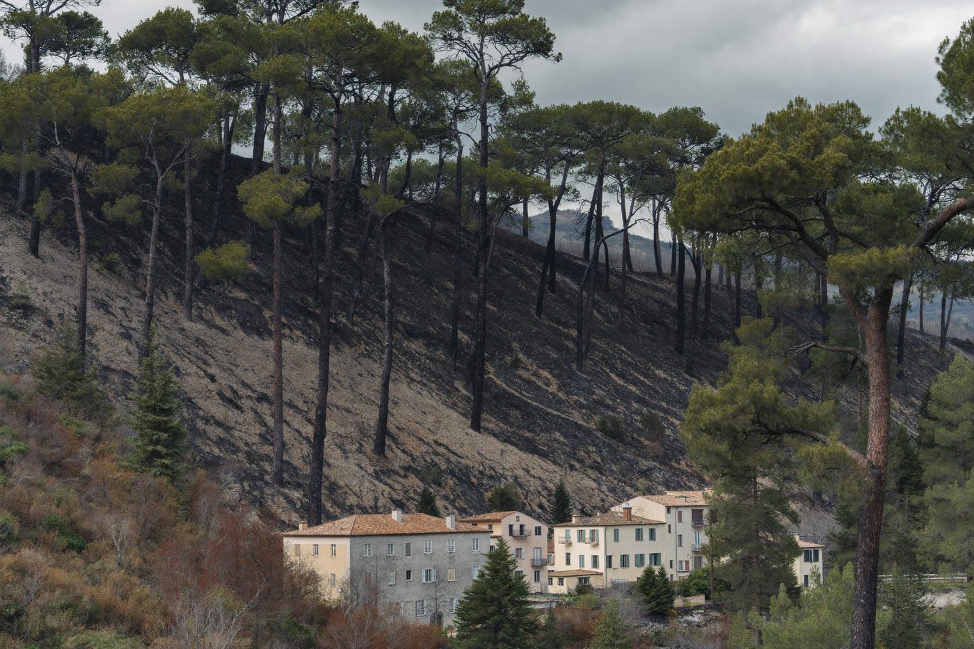 Versant de colline aux troncs carbonisés et au sol nu dominant un village aux toits de tuiles intact — illustration générée